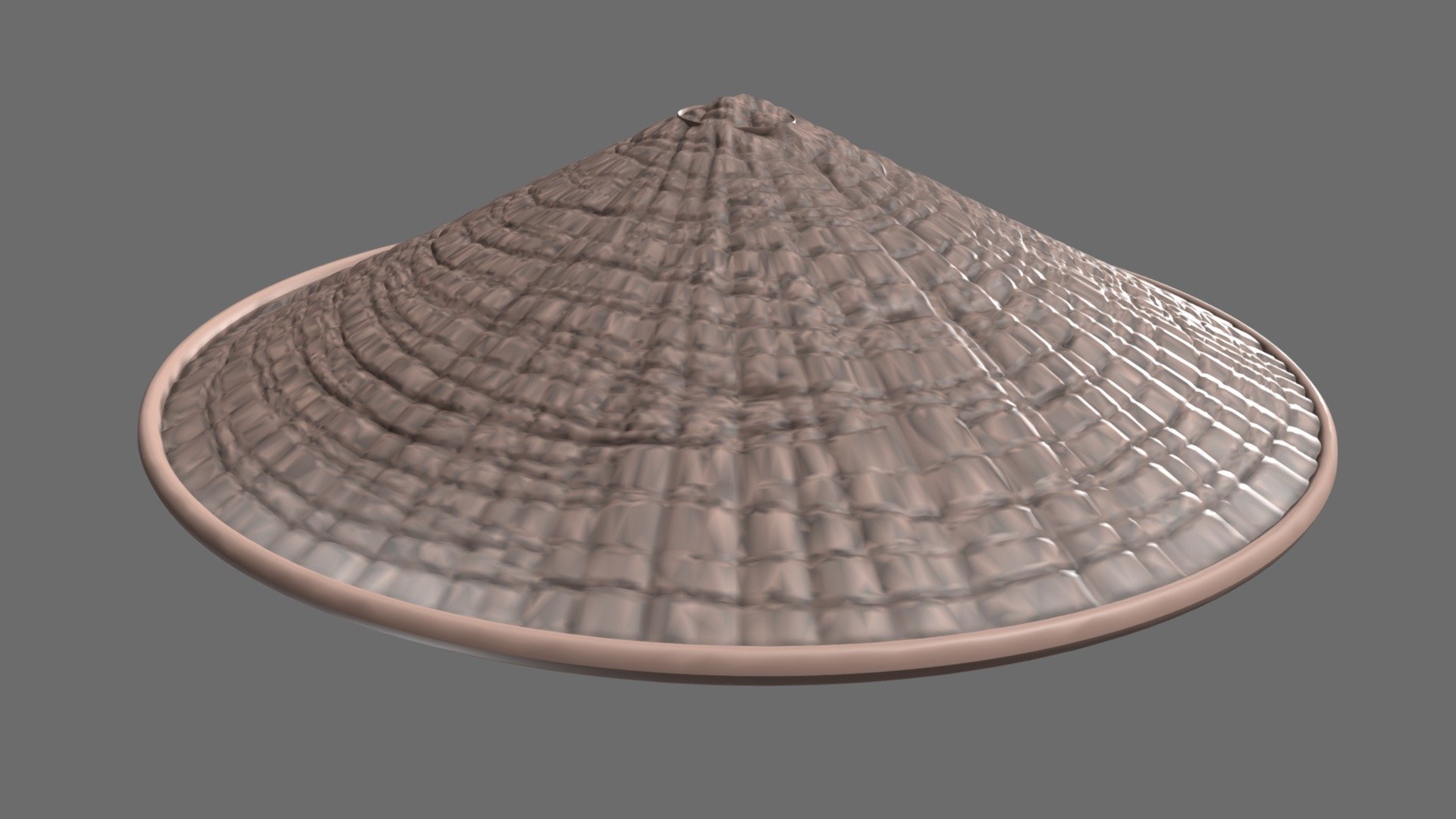 Japenese Bamboo Hat