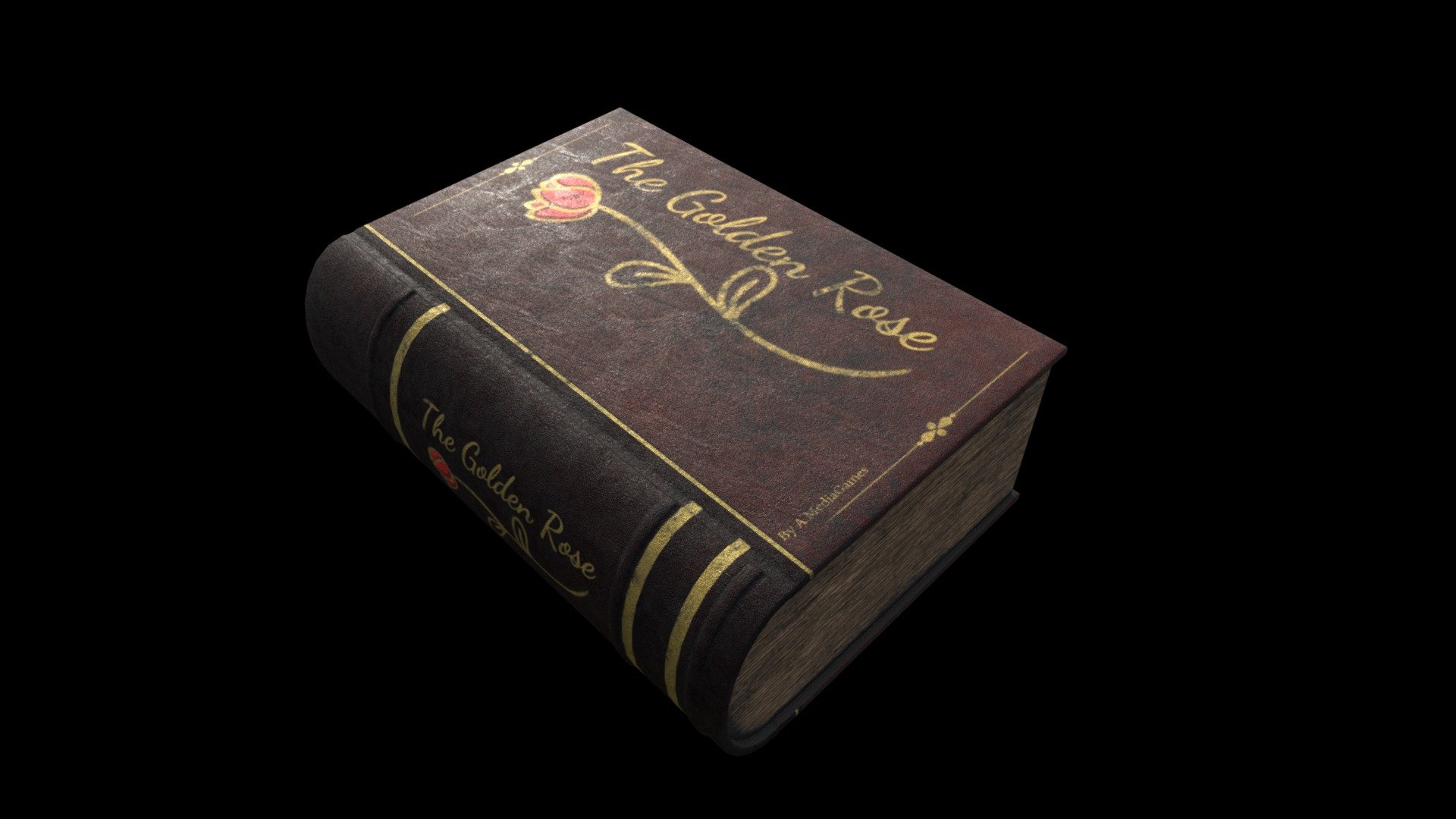 Book Old Leather Dirty