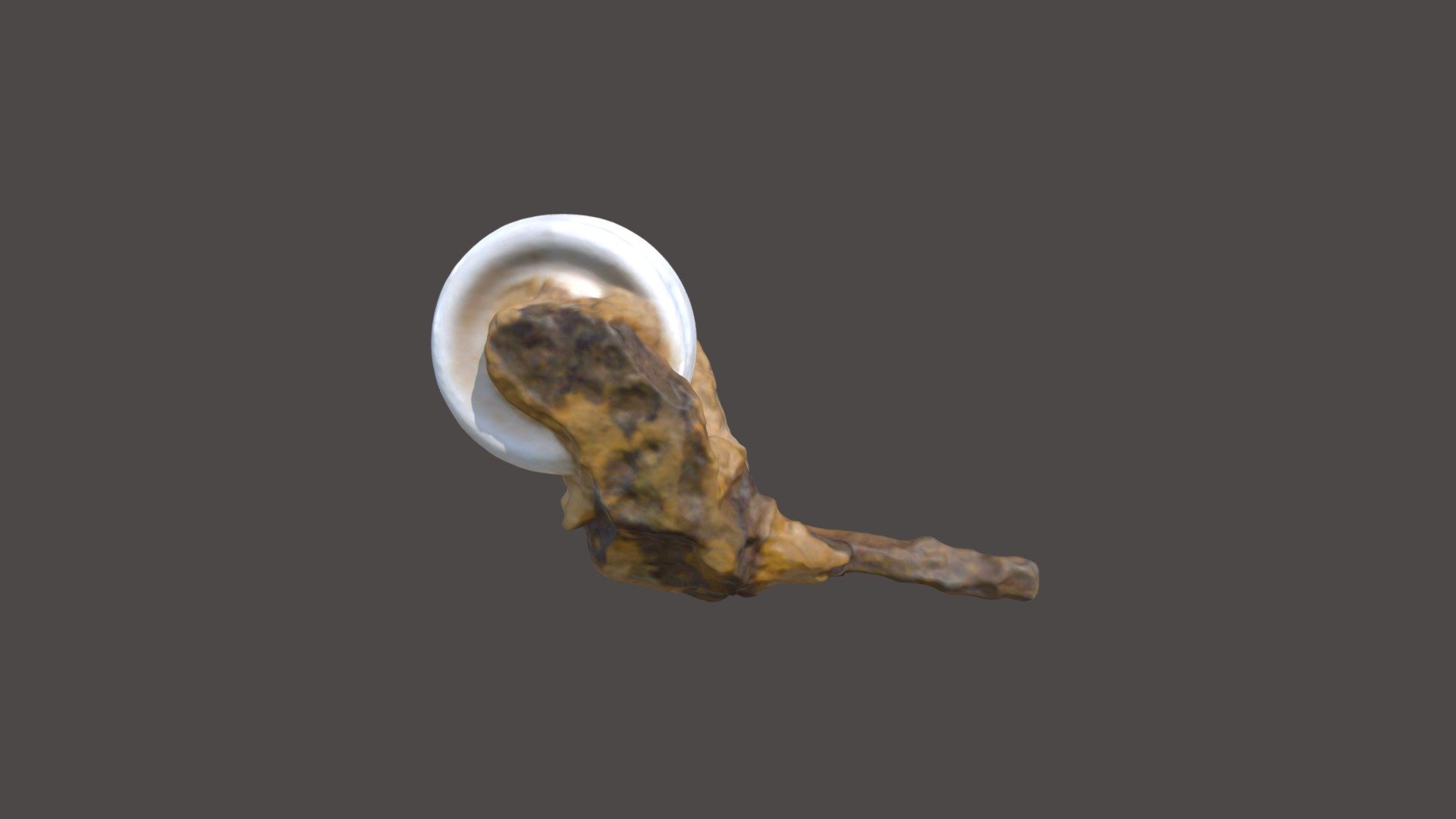 ROI051-005-02