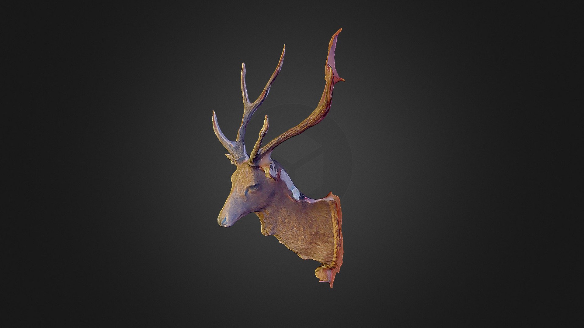 Deer Baked Trimmed