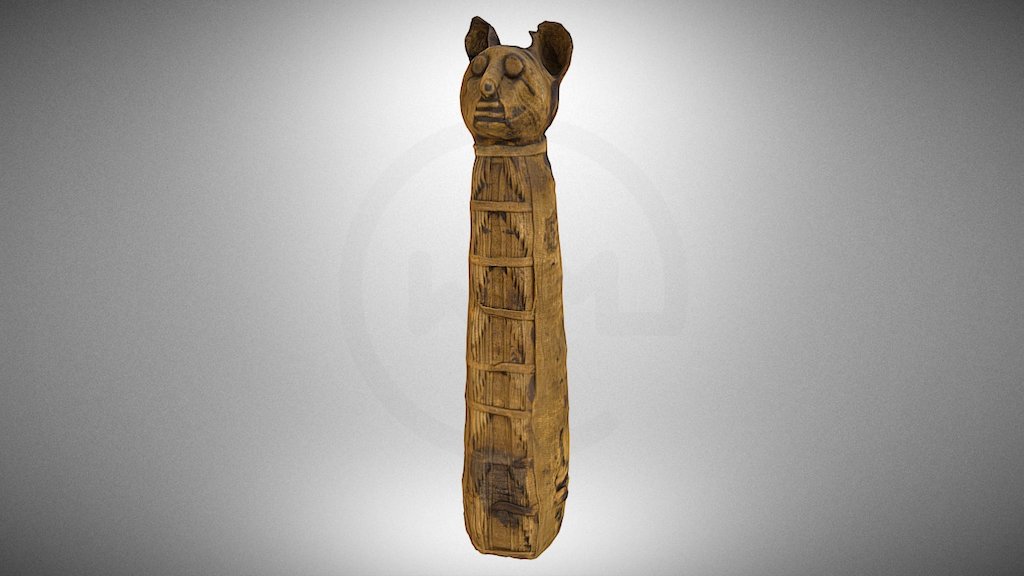 Mummy of a cat