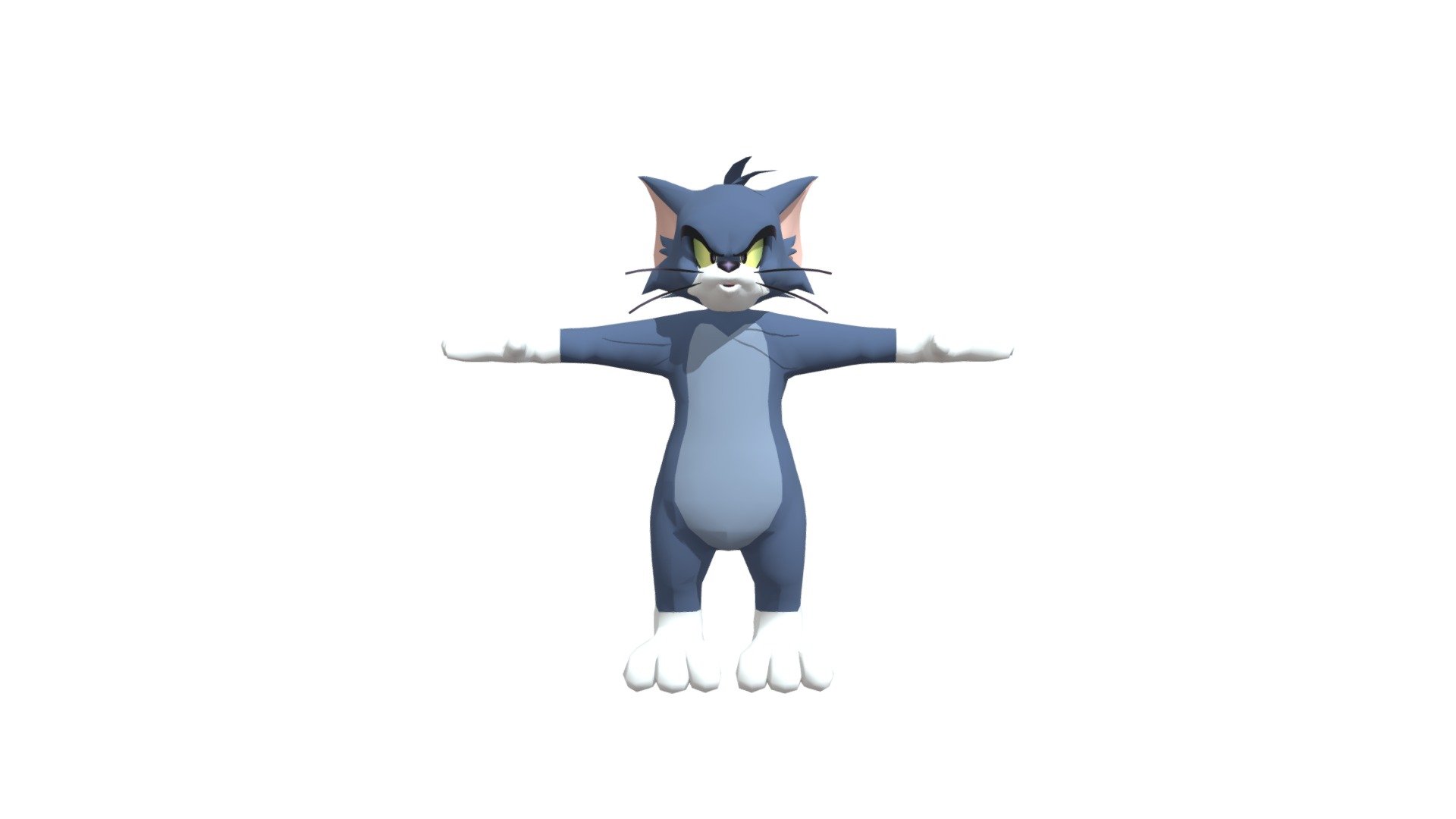 Tom The Cat