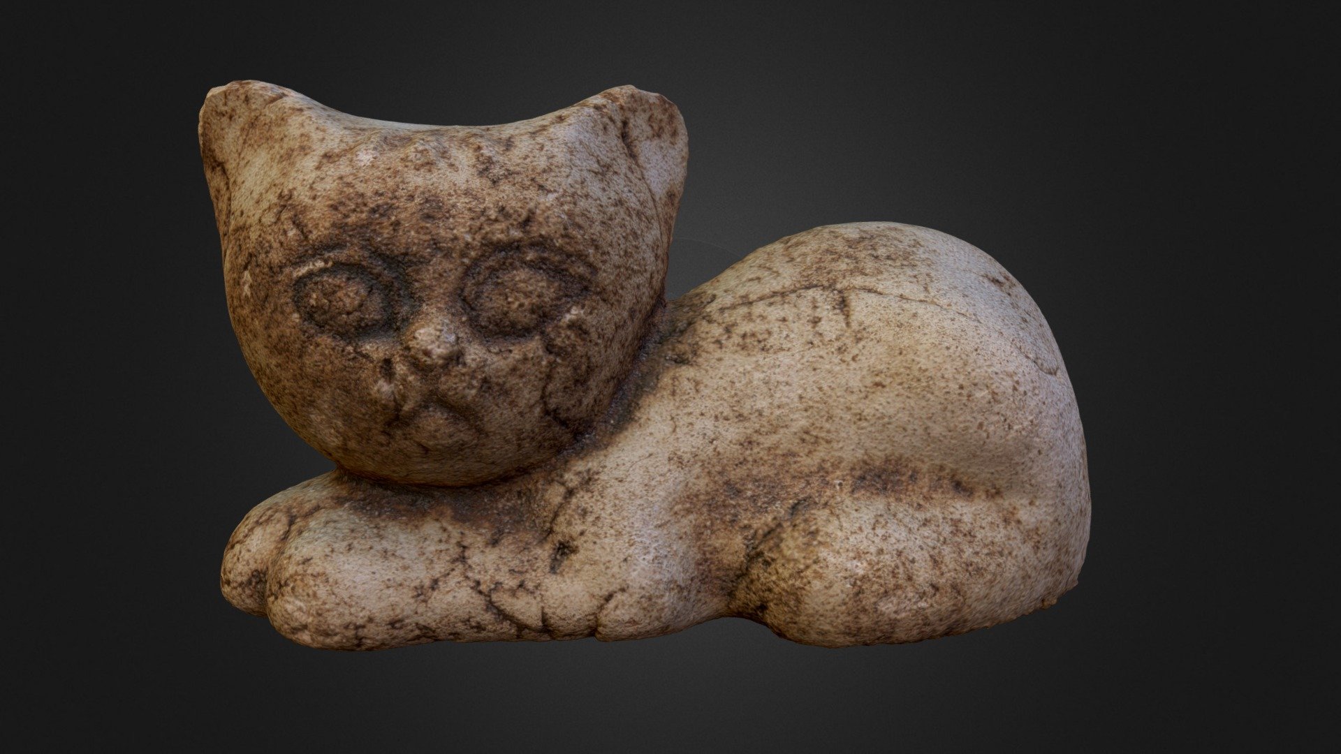 Sandstone kitten  HD
