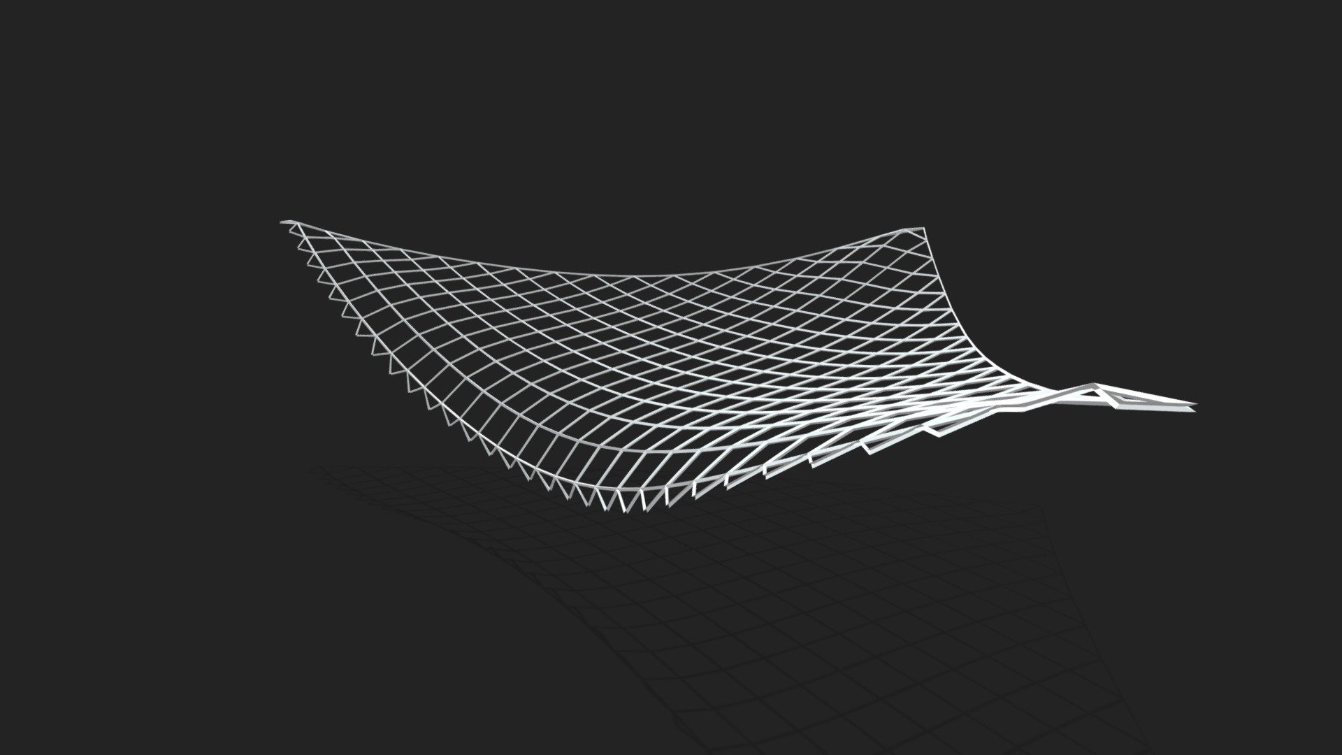 Triangle Net