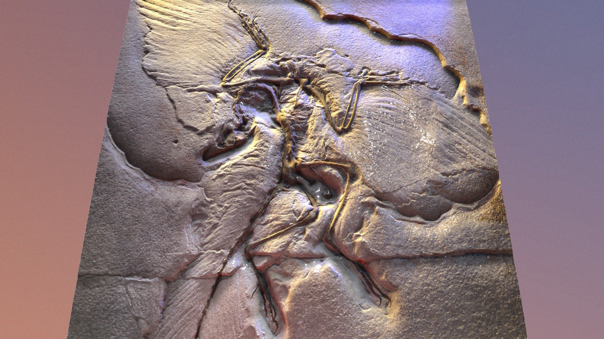 Archaeopteryx fosile (scan)
