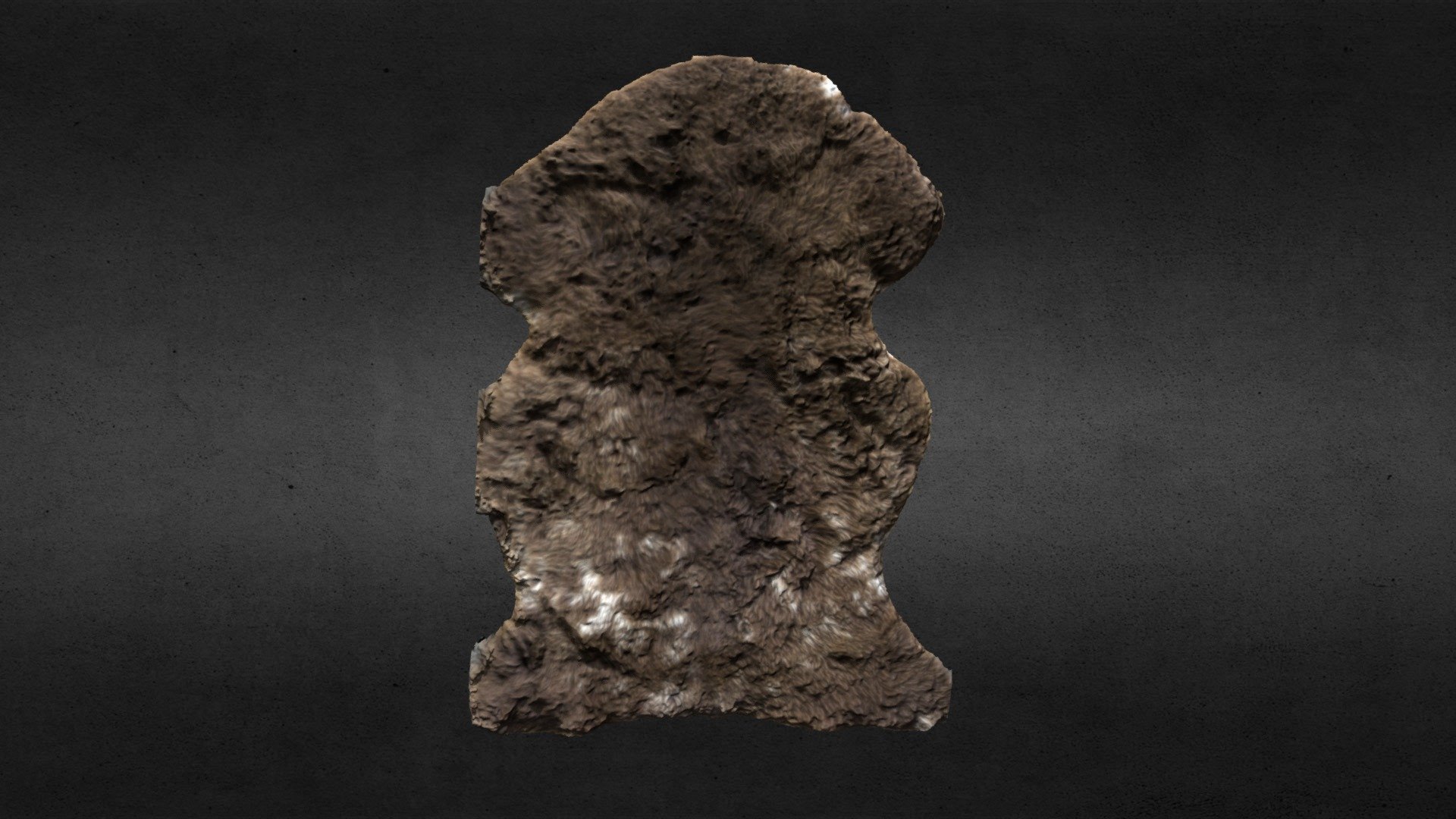 Hunt Museum - Sheep Skin