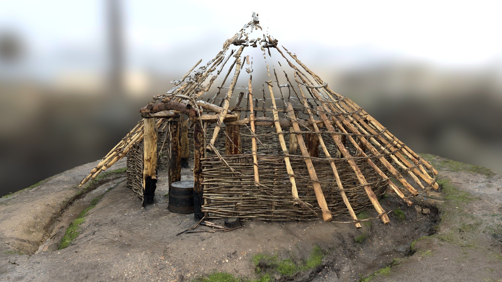 TEST Iron Age Roundhouse - Mesh - Metashape
